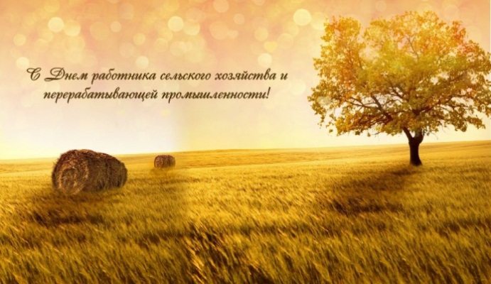 День работника сельского хозяйства